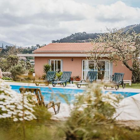 Forno House - Ameixoeira Vila Praia de Âncora Buitenkant foto