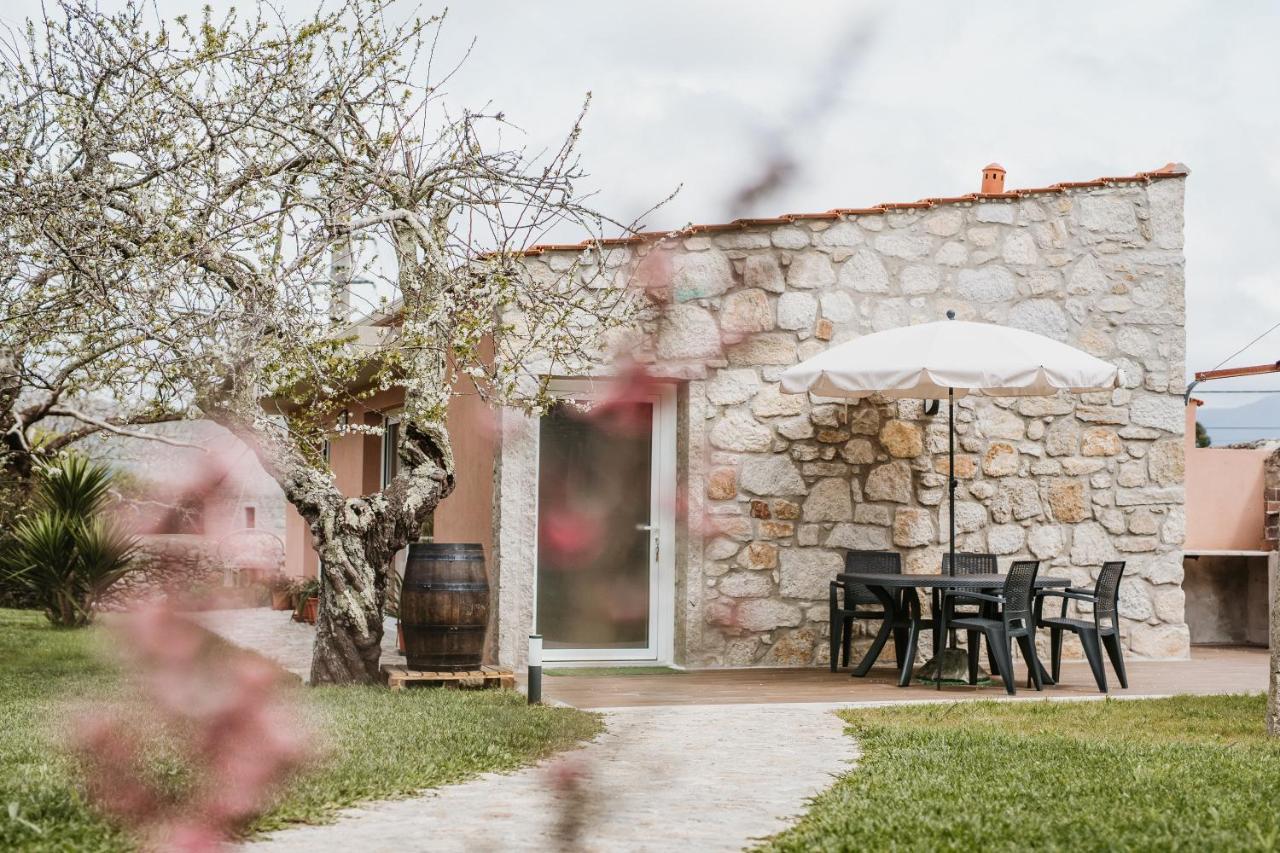 Forno House - Ameixoeira Vila Praia de Âncora Buitenkant foto